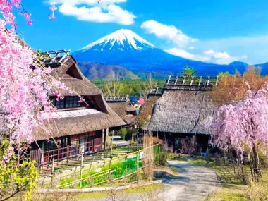 Mt Fuji Tour, including Lake Kawaguchi, a Shrine, the Healing Village & a Pagoda