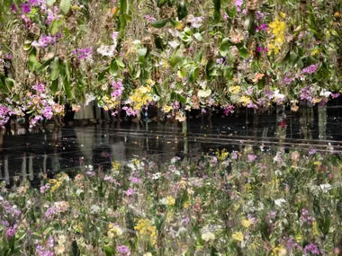 Tokyo: teamLab Planets TOKYO Digital Art Museum