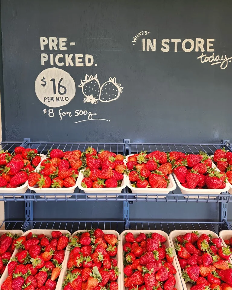 littlewood farm tasmania