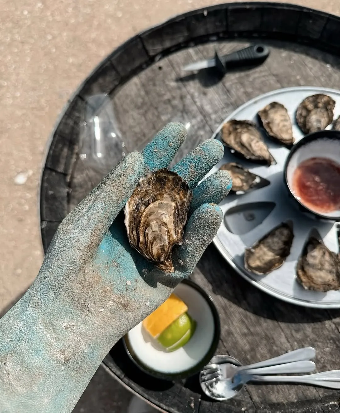 oyster bay tours in tasmania