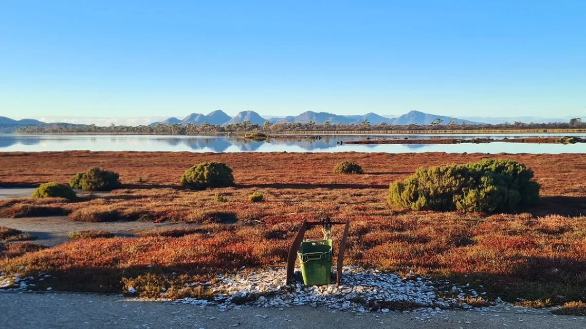 freycinet oyster farm