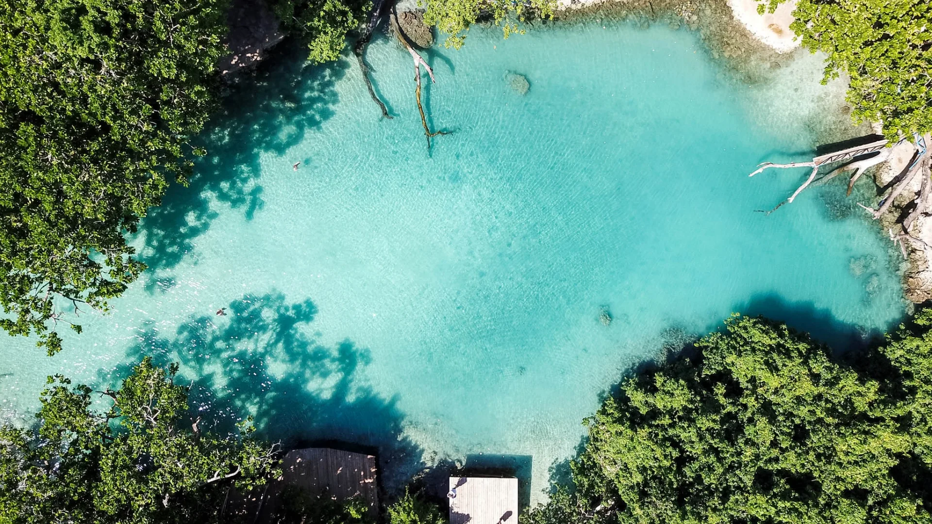 An aerial shot of blue water in a lagoon surrounded by marsh and greenland