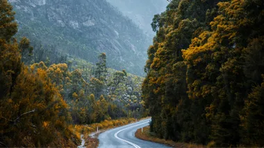 Winding road through trees and mountains