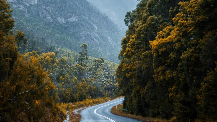 Winding road through trees and mountains