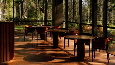 The dining room at Melbourne restaurant Yiaga, looking out to Fitzroy Gardens