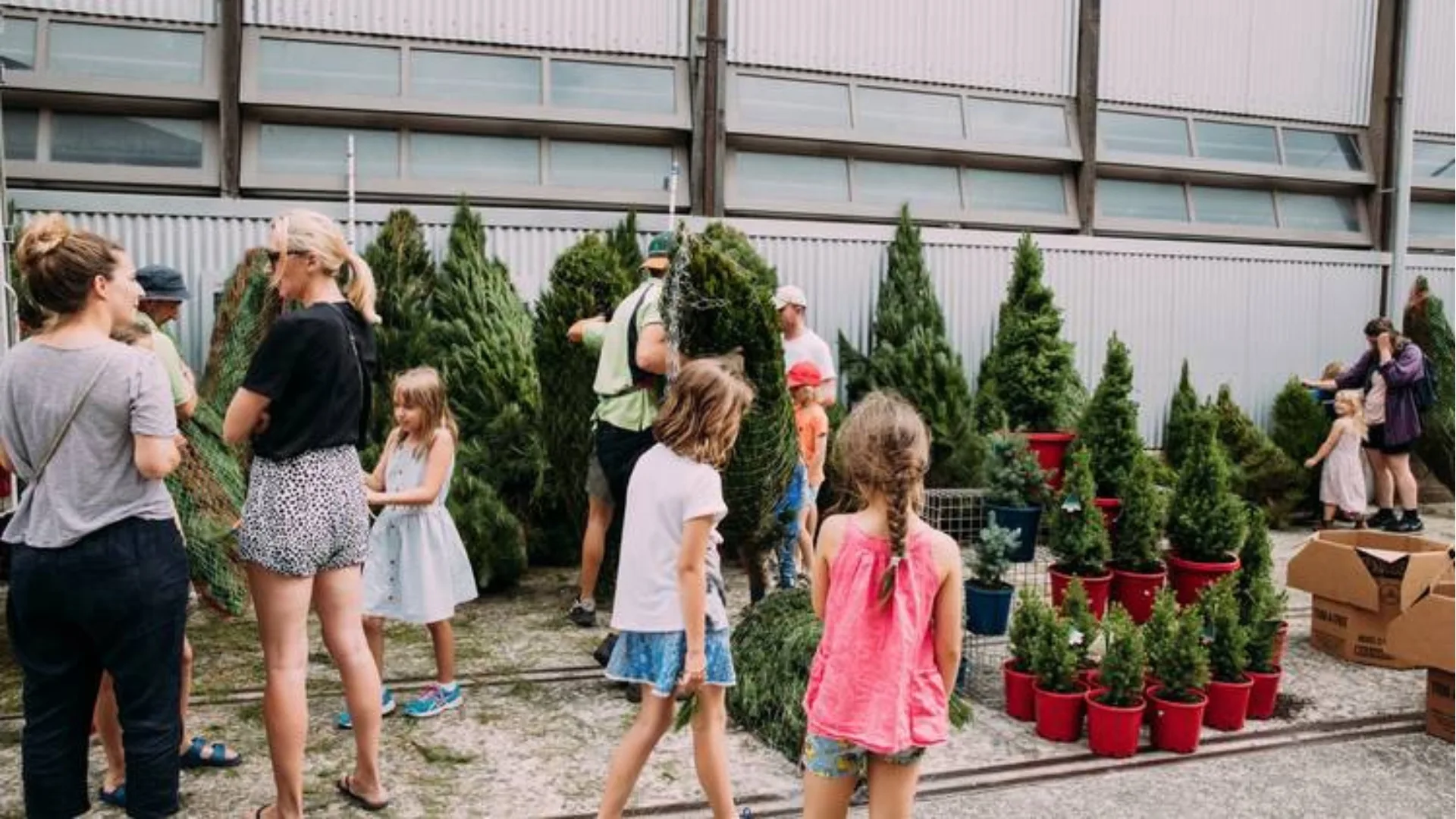 Customers milling around to pick their real Christmas tree at Carriageworks markets 