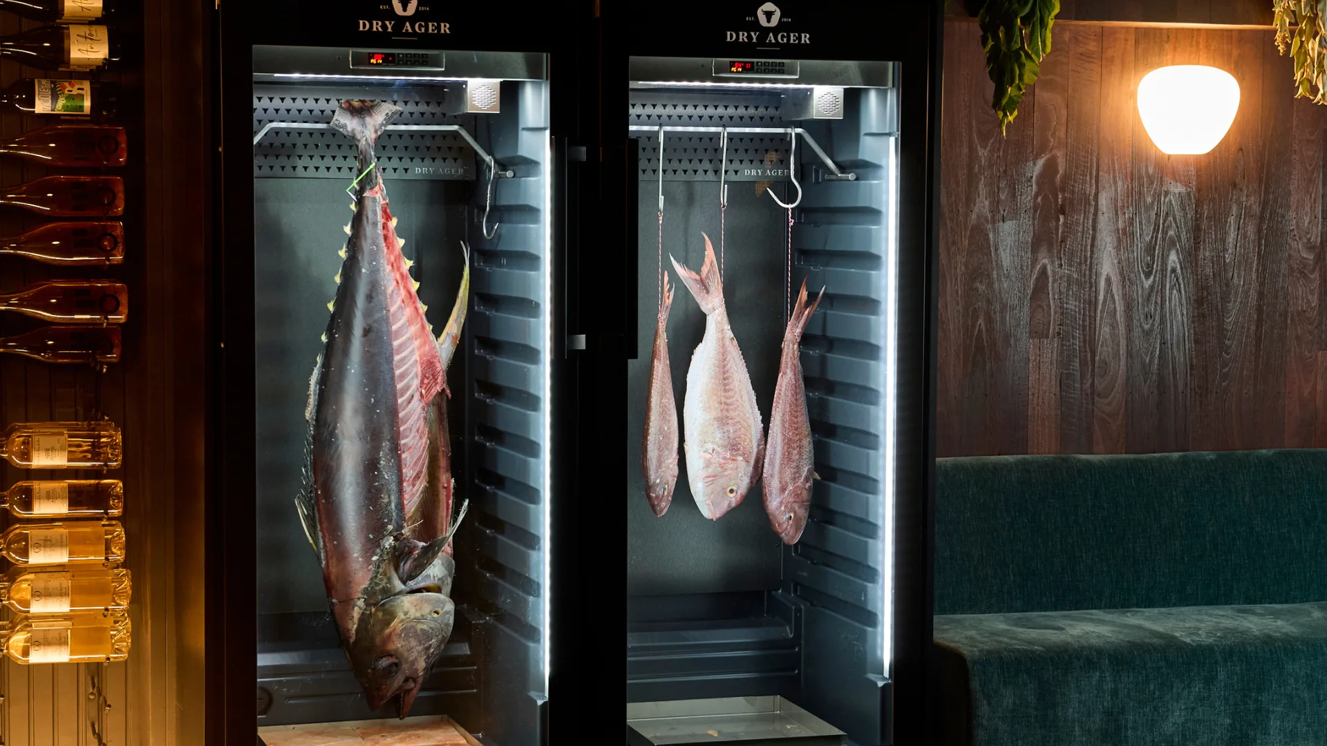 Two dry aging cabinets with hanging fish at the new Perth restaurant Pearla and Co