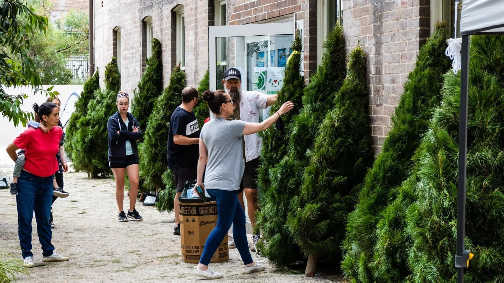 Customers inspecting real live Christmas Trees at The Flour Mill's Pick a Tree 