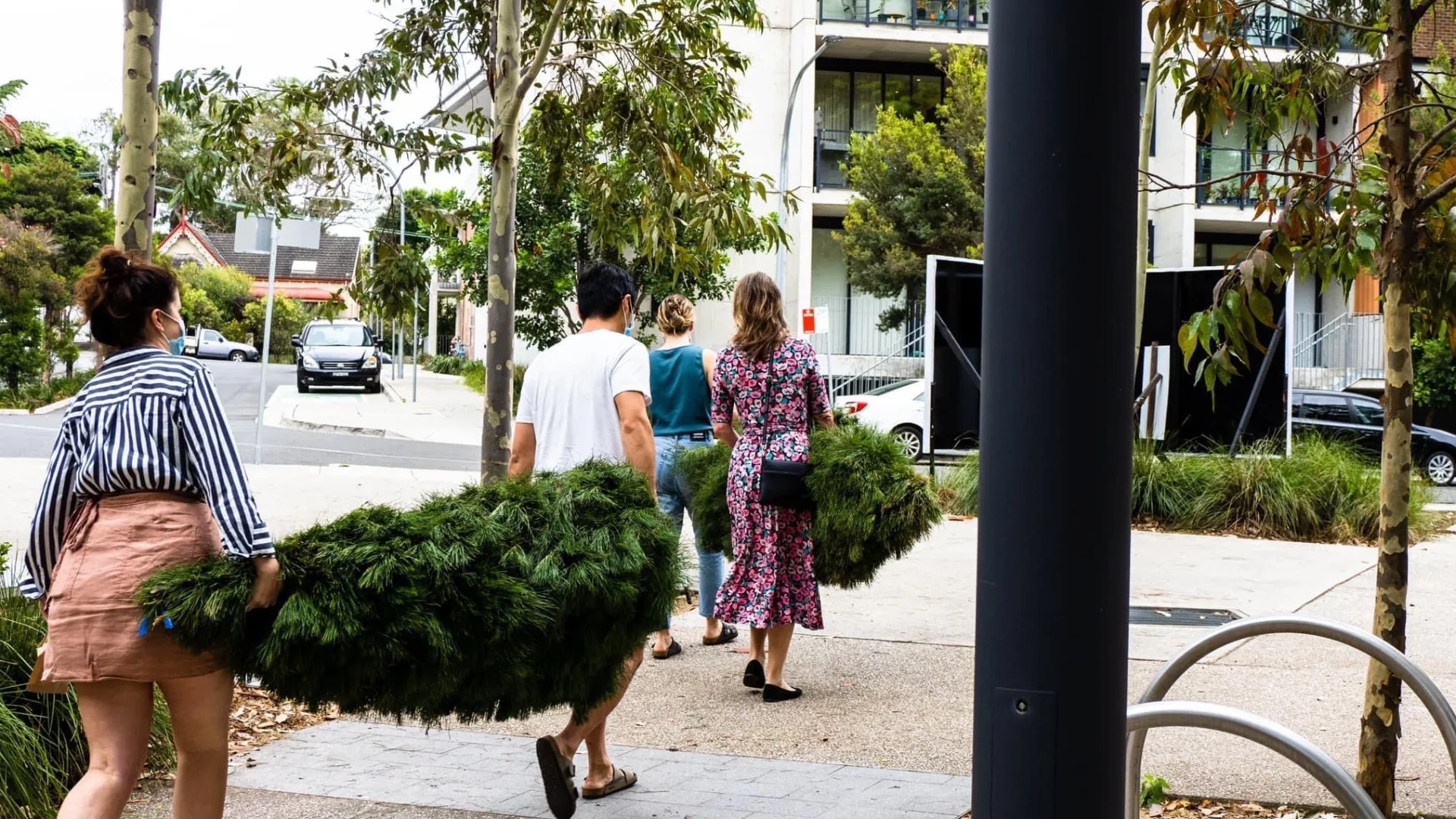 Customers carrying their real Christmas trees home from Pick a Tree