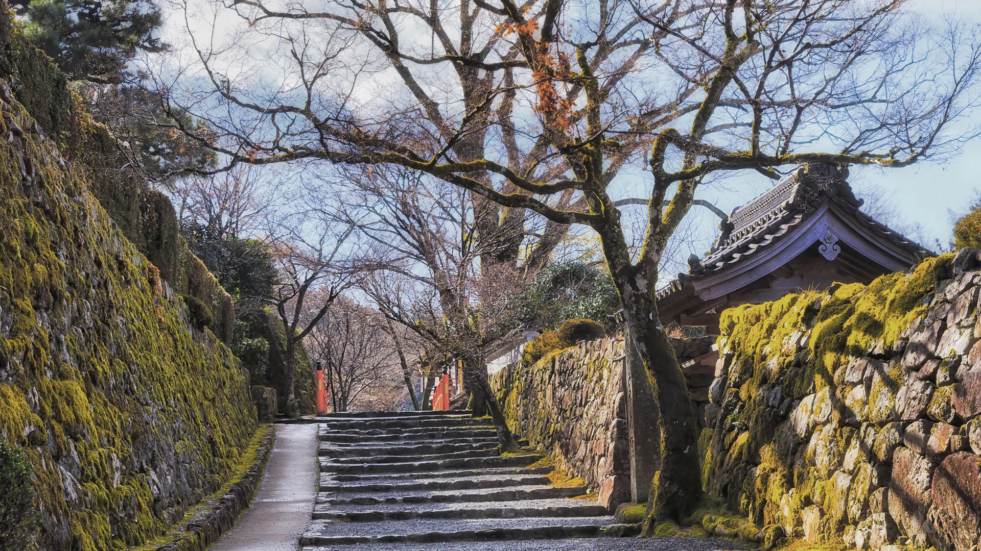 Scenic steps in Ohara, Japan.