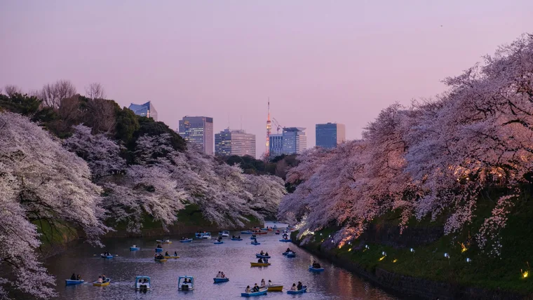 A purple sunset over Tokyo, Japans capital city.