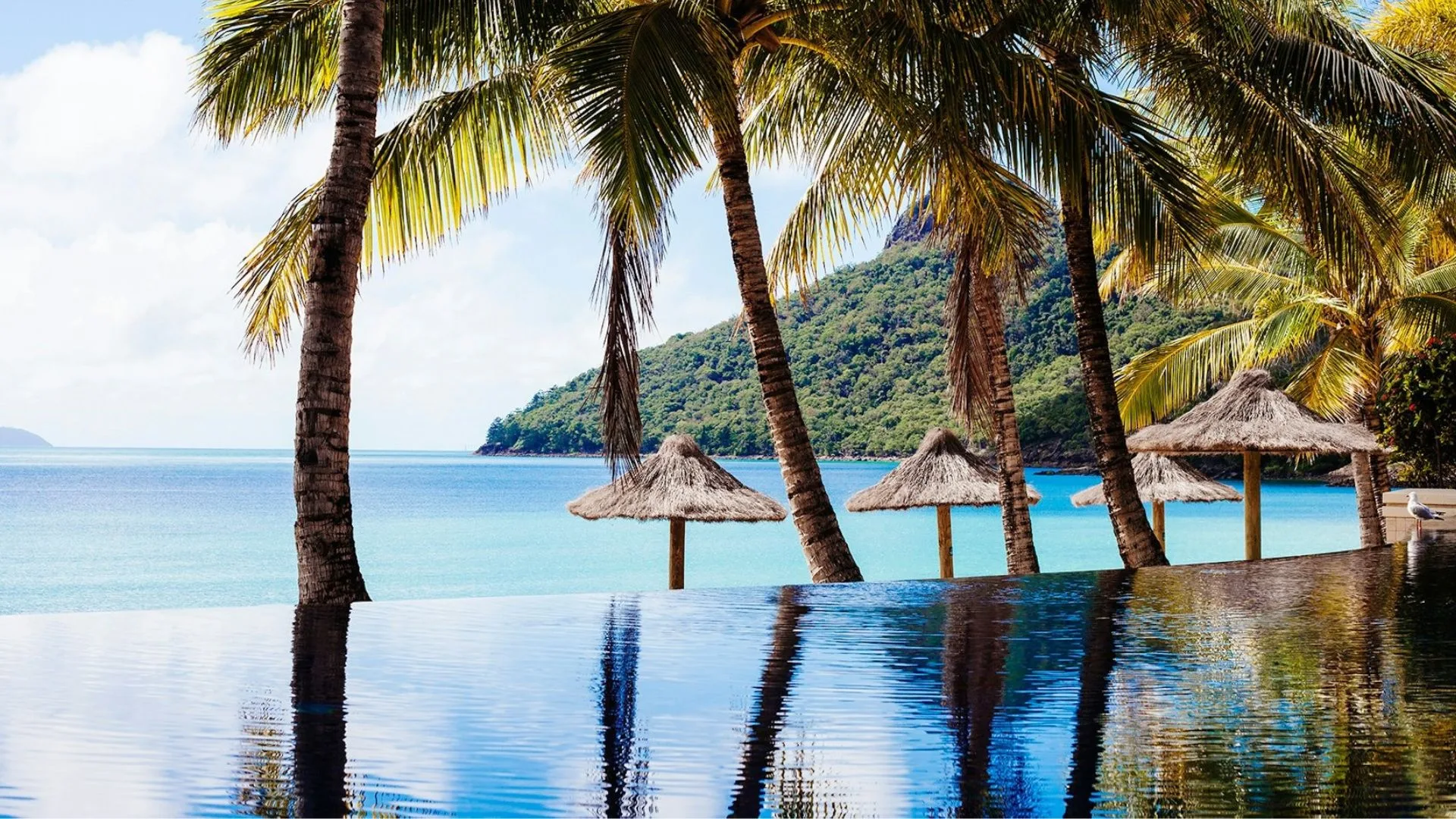 Honeymoon destinations Australia Beach Club