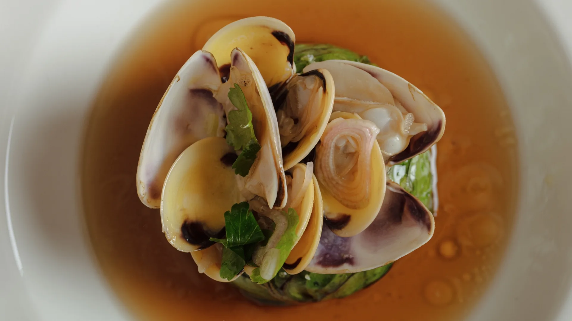 A plate of pippies from Esmay restaurant Adelaide