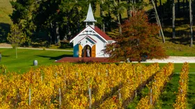 Follow your nose and the full-bodied flavours across these New Zealand wineries&nbsp;