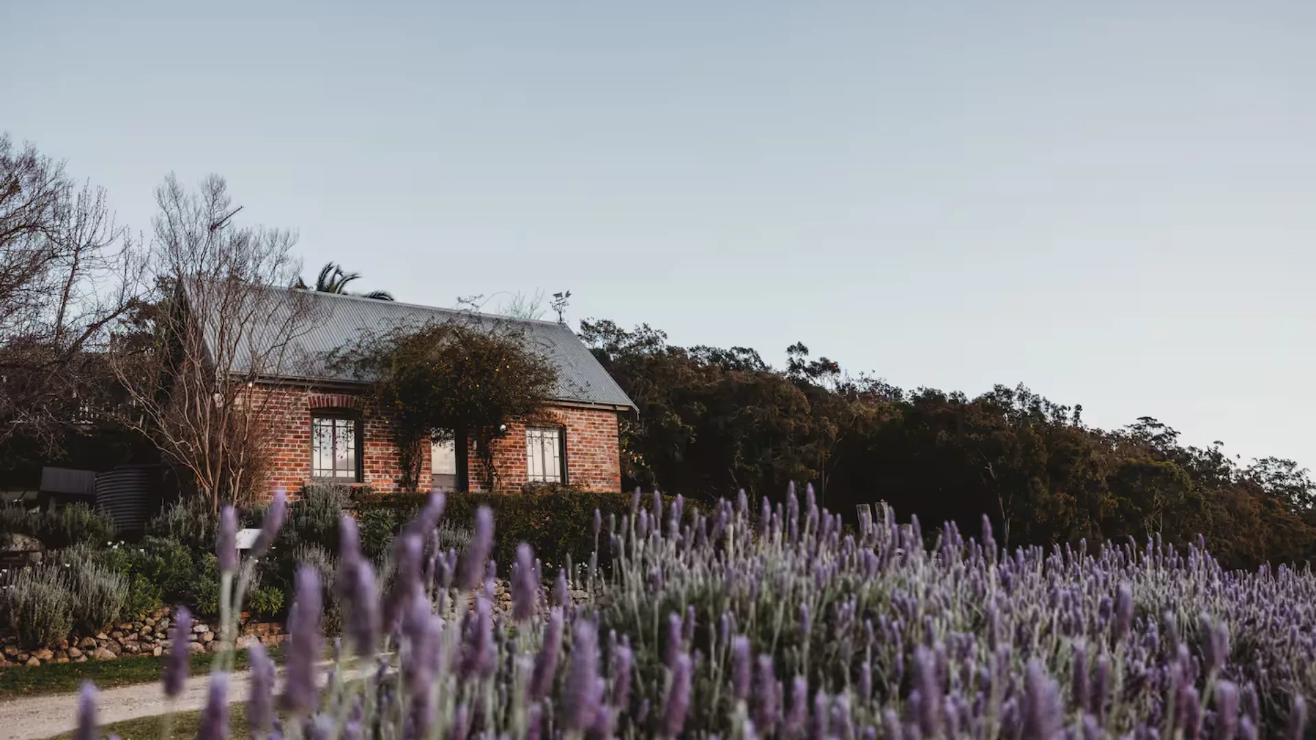 The Studio on Pokolbin Mountain, an Airbnb in Hunter Valley, NSW