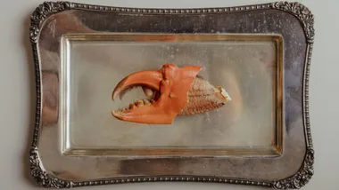 A single crab claw in the centre of a silver dish from Esmay in Adelaide.