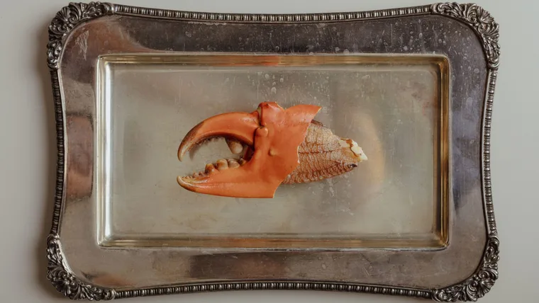A single crab claw in the centre of a silver dish from Esmay in Adelaide.