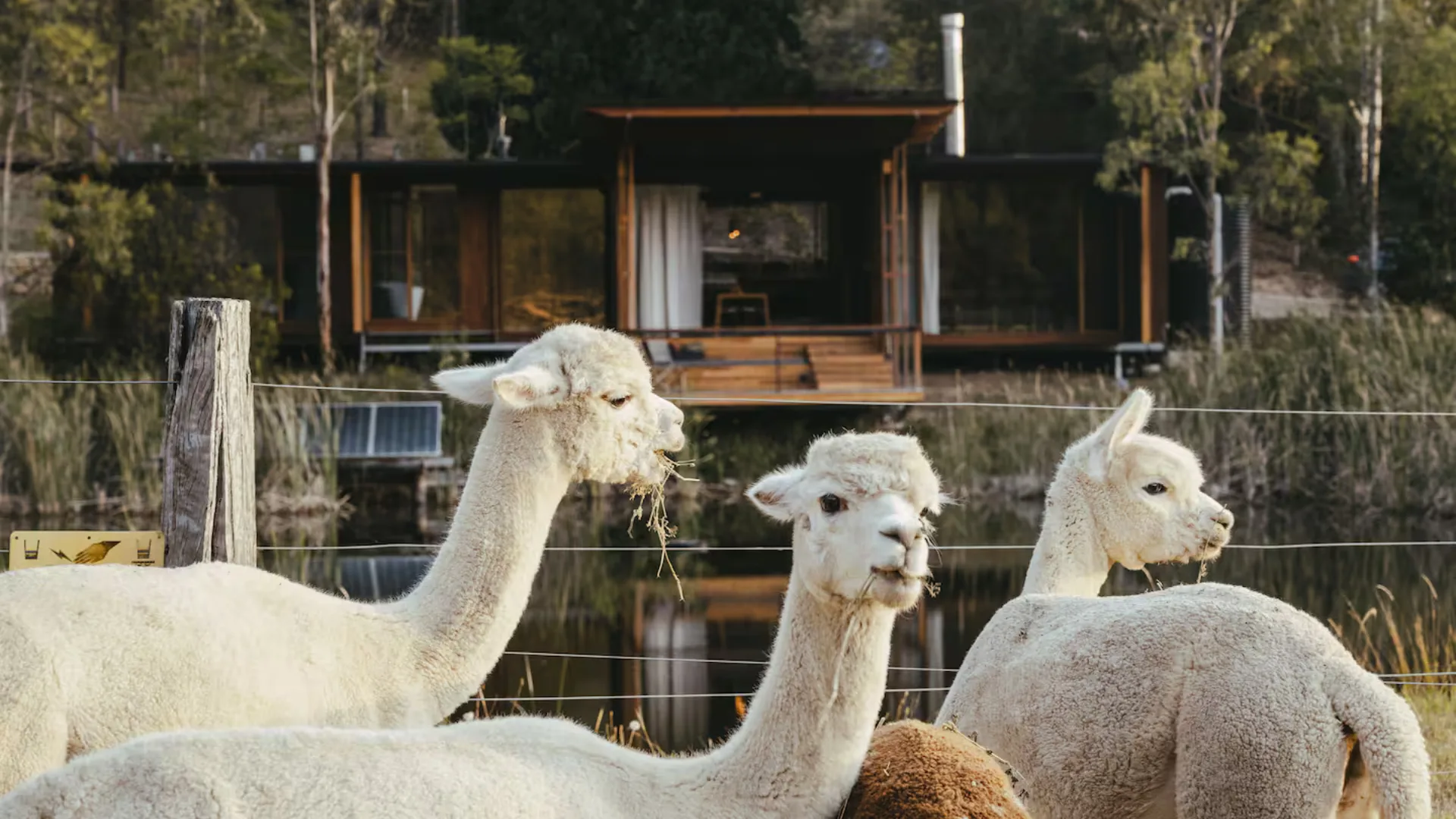 The most charming farm stays in NSW for a rustic, slow-living escape