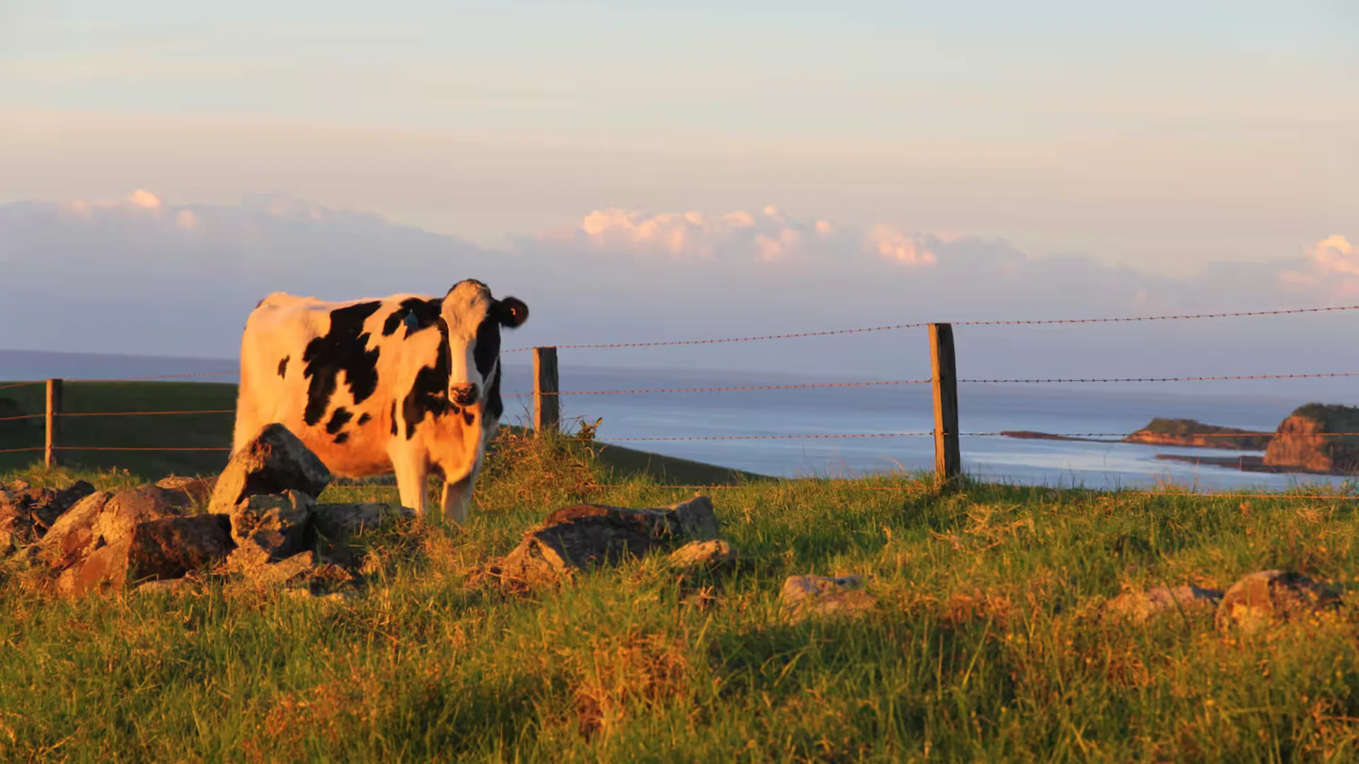 farm stay NSW in Gerringong called Ocean Farm
