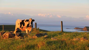farm stay NSW in Gerringong called Ocean Farm