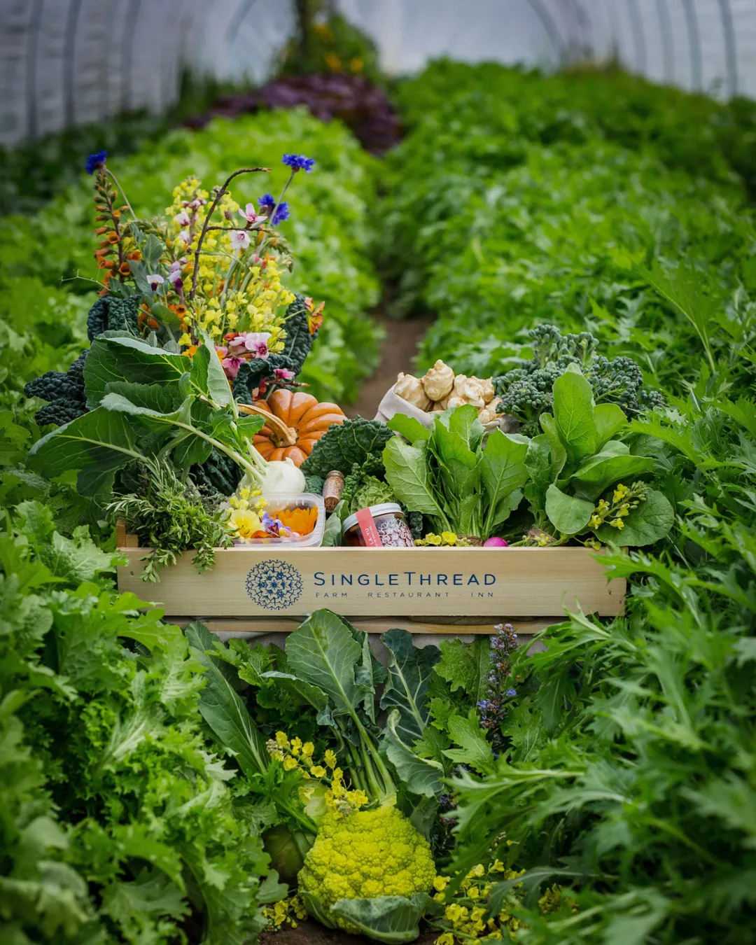 A sample of the produce from the SingleThread farm including a pumpkin, flowers, brassicas and spinach.