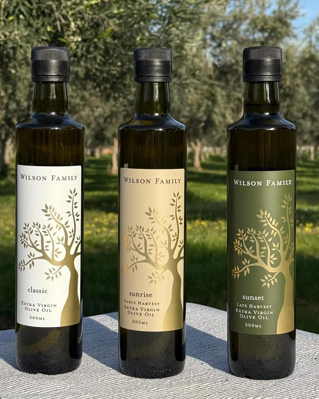 Three bottles of olive oil in the olive grove at Wilson Family farm in New South Wales