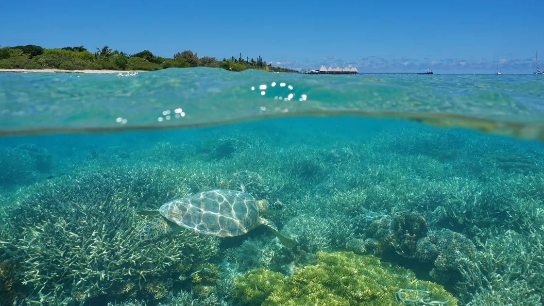 5 hotels & resorts to experience New Caledonia’s slow travel