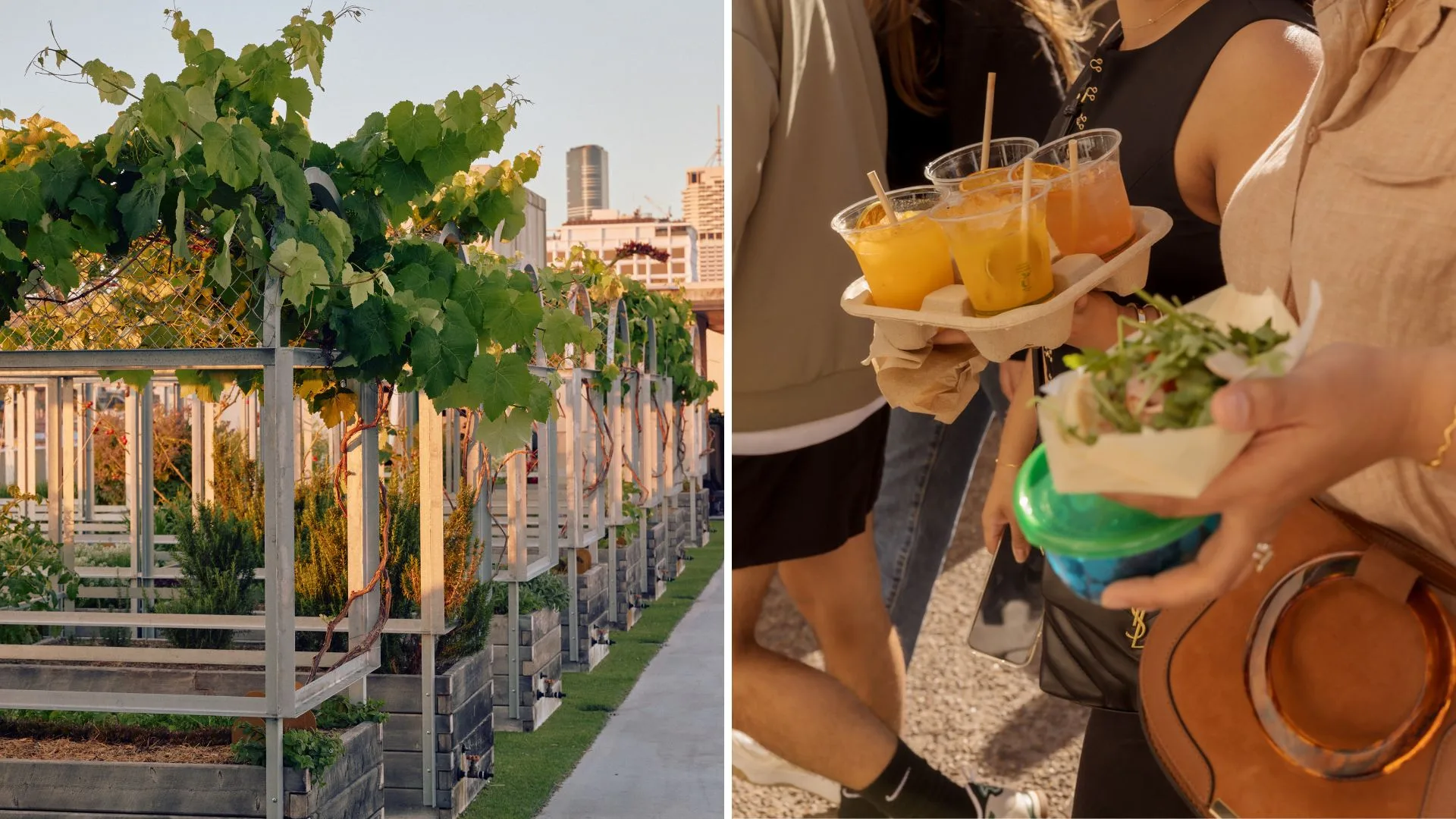 The Calile Rooftop Garden and James St Food + Wine Trail attendees