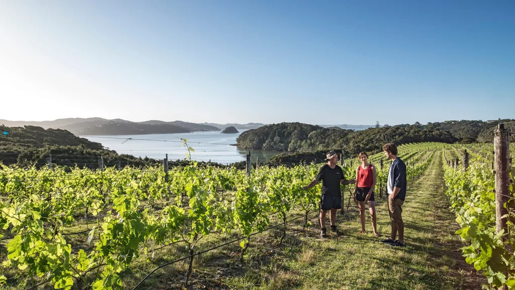 Bay of islands, Northland - Alistair Guthrie