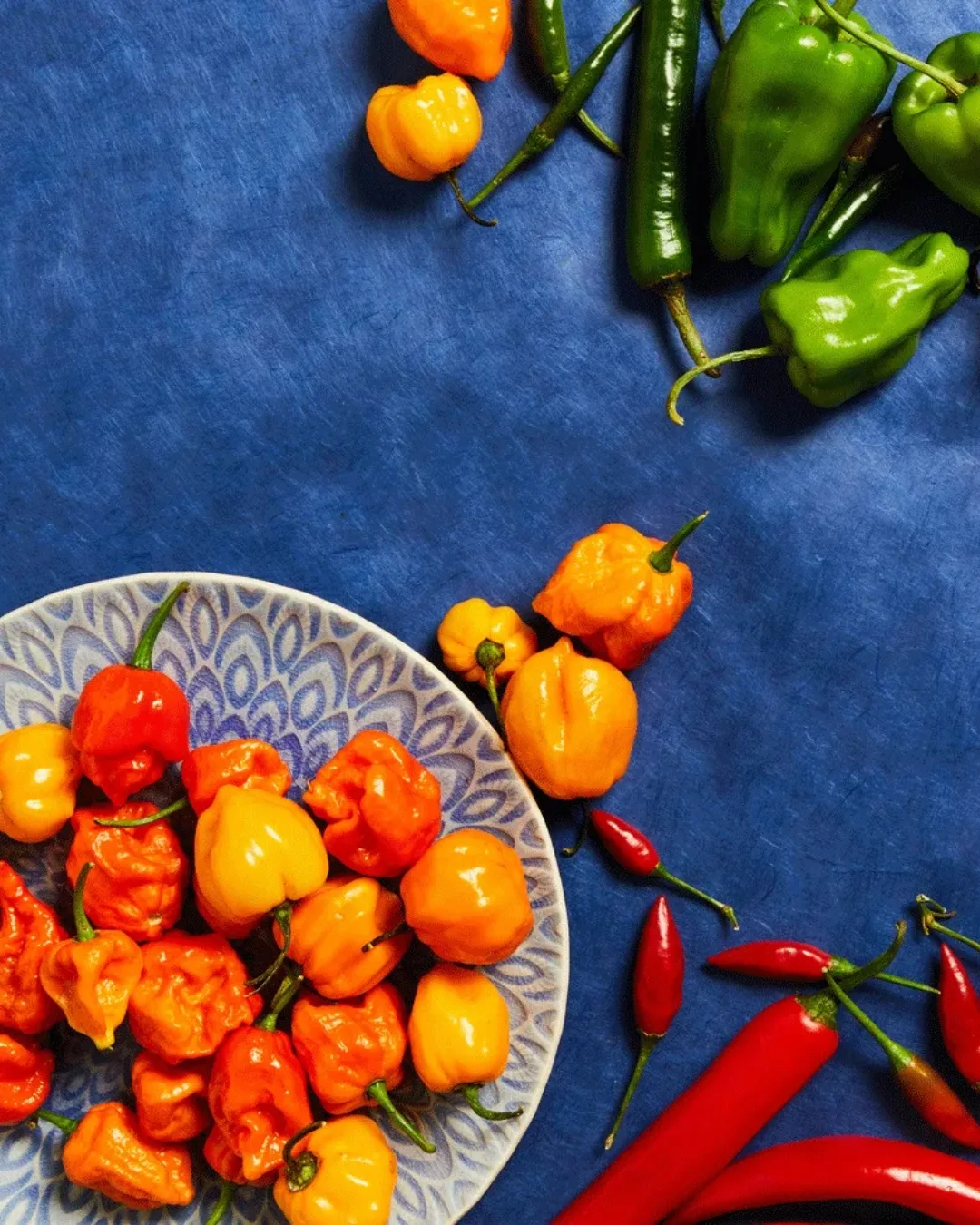 Burning desire: what chilli festivals reveal about our appetite for pain
