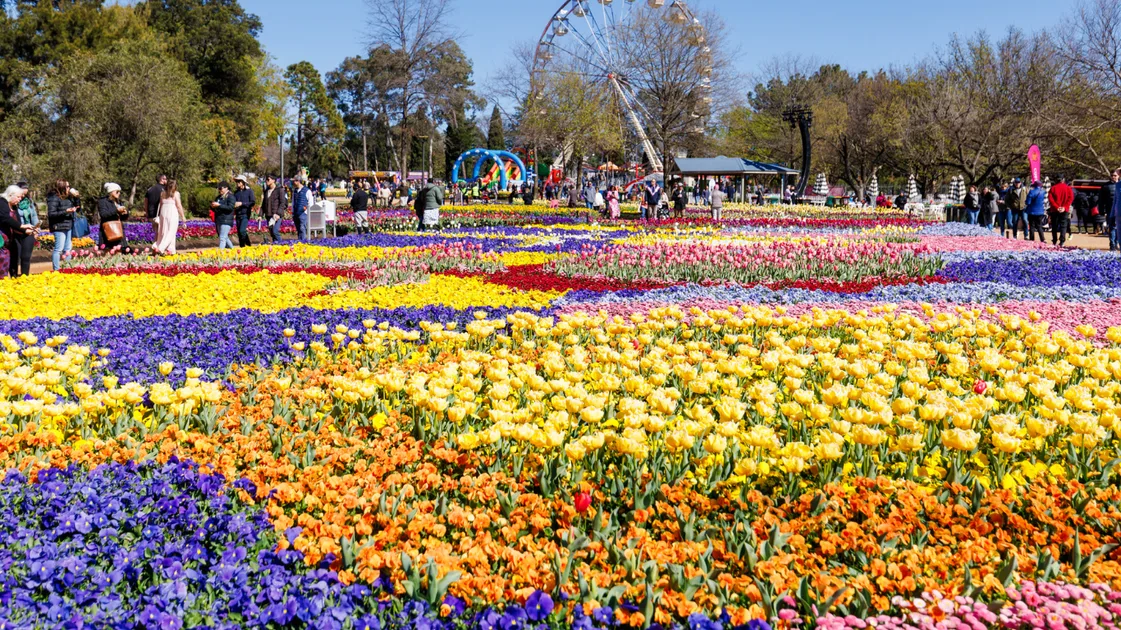 Why Canberra’s biggest spring event is all about food this year