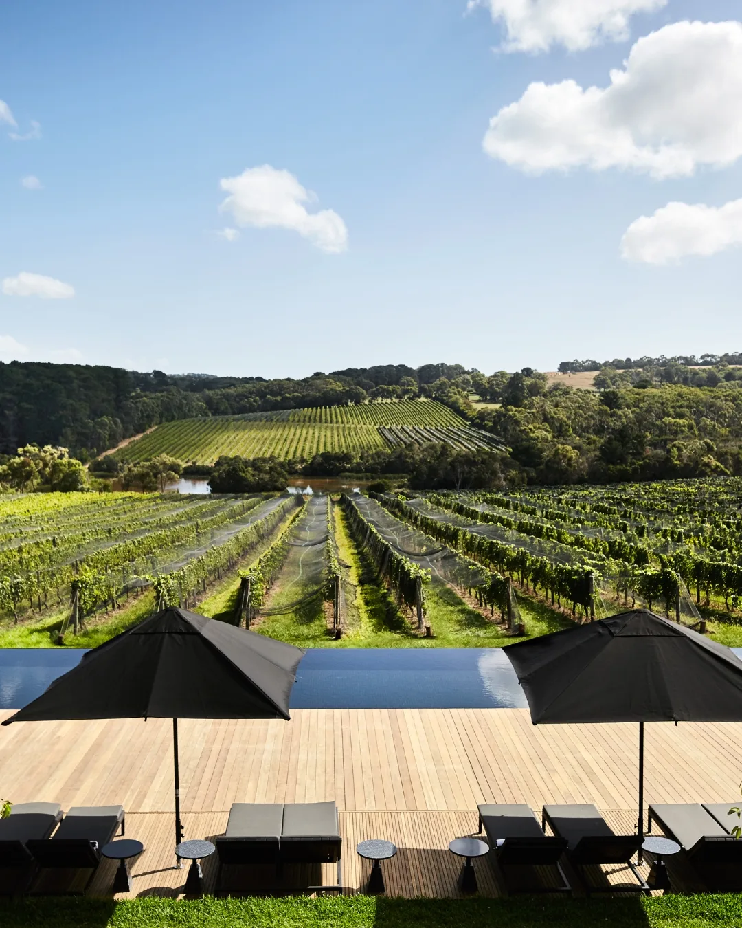 The great escape: why the Mornington Peninsula needs to be on your road trip wishlist
