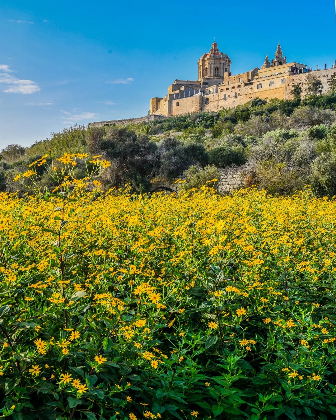 Why Malta should be your next Mediterranean escape