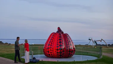 Yayoi pumpkin