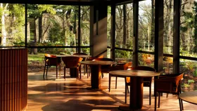 Yiaga wins Best New Restaurant in our 2026 Restaurant Awards