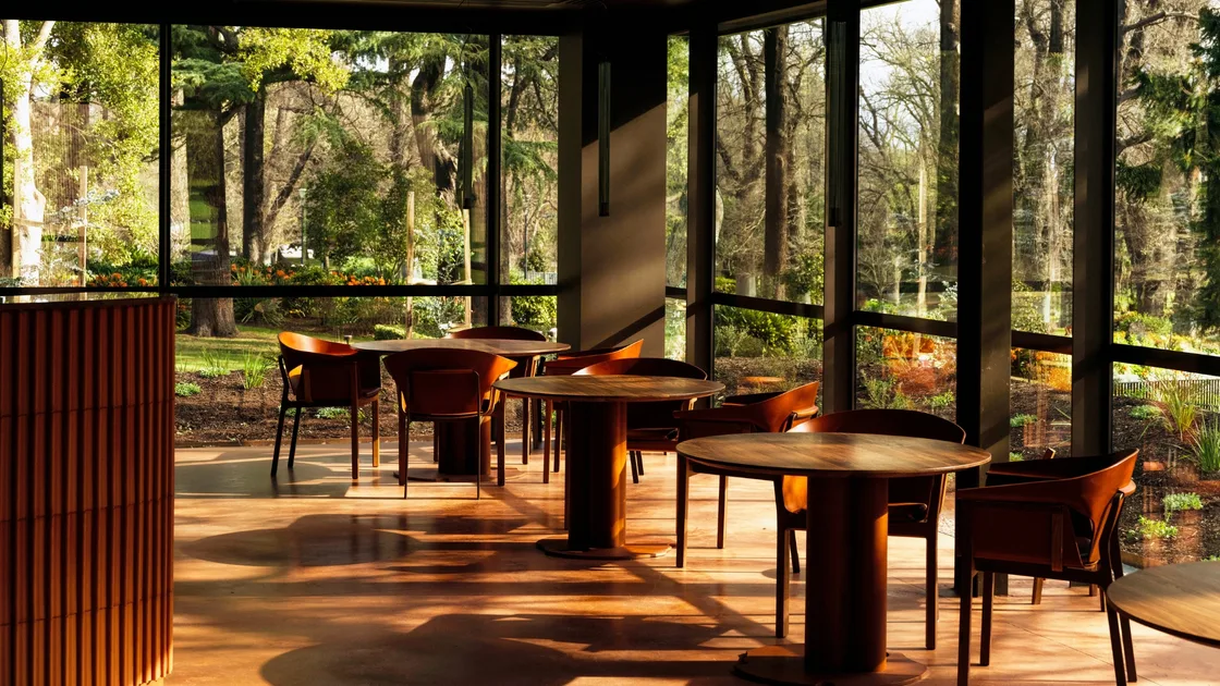 Yiaga wins Best New Restaurant in our 2026 Restaurant Awards