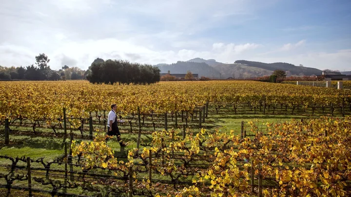 How provenance can help you find a deeper connection to New Zealand