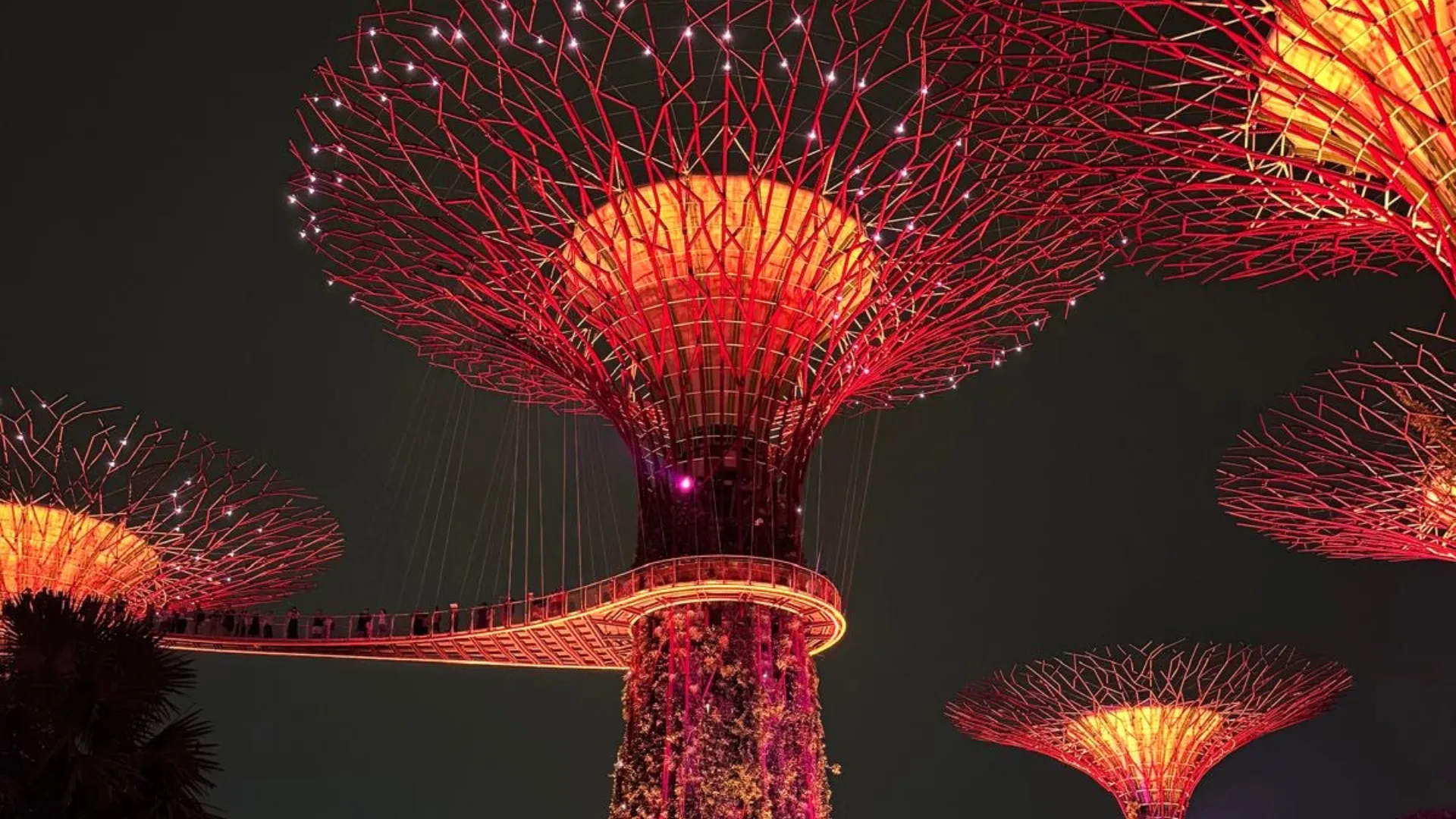 The Supertrees in Singapire become the stage for Garden Rhapsody, a free light and sound show held daily.
