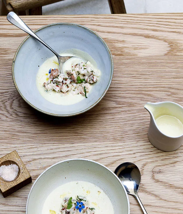 Cucumber and yoghurt soup with Moreton Bay bug salad