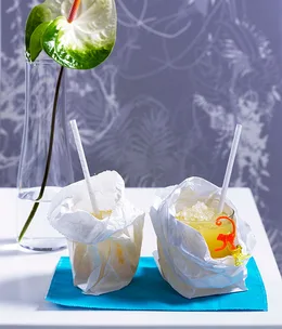 Paper Bag Mango and Pineapple Swizzle