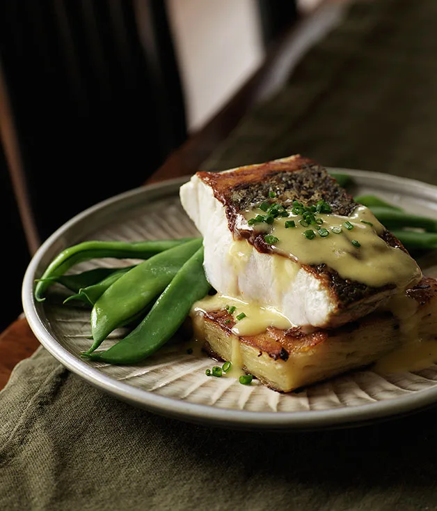 Pan-fried mulloway with potato gratin and leek sauce