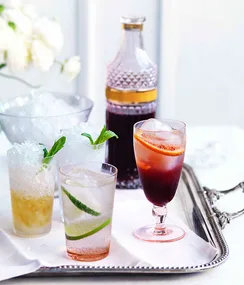 Mint Julep