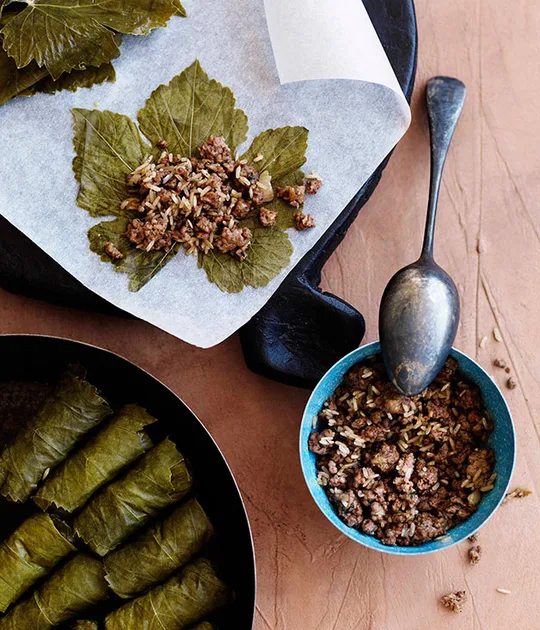 Lamb dolmades recipe | Gourmet Traveller
