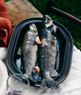 River trout poached in cider