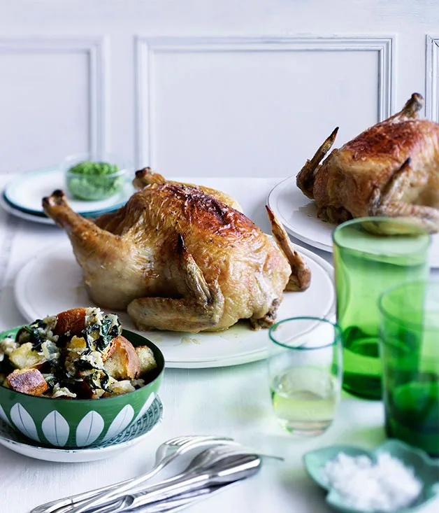 Roast chicken and bread salad