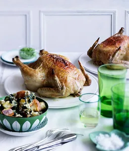 Roast chicken and bread salad