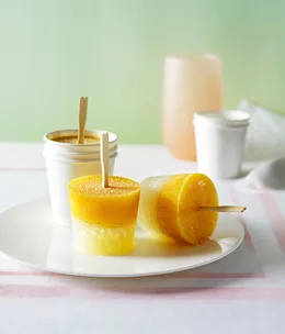 Lemonade and passionfruit icy poles
