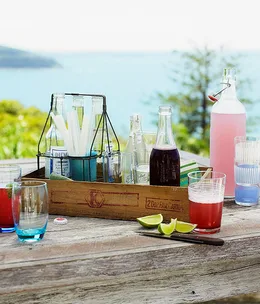 Blood plum cordial