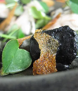 GT’s best dishes of 2012: Sue Dyson and Roger McShane