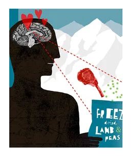The neuroscience of taste